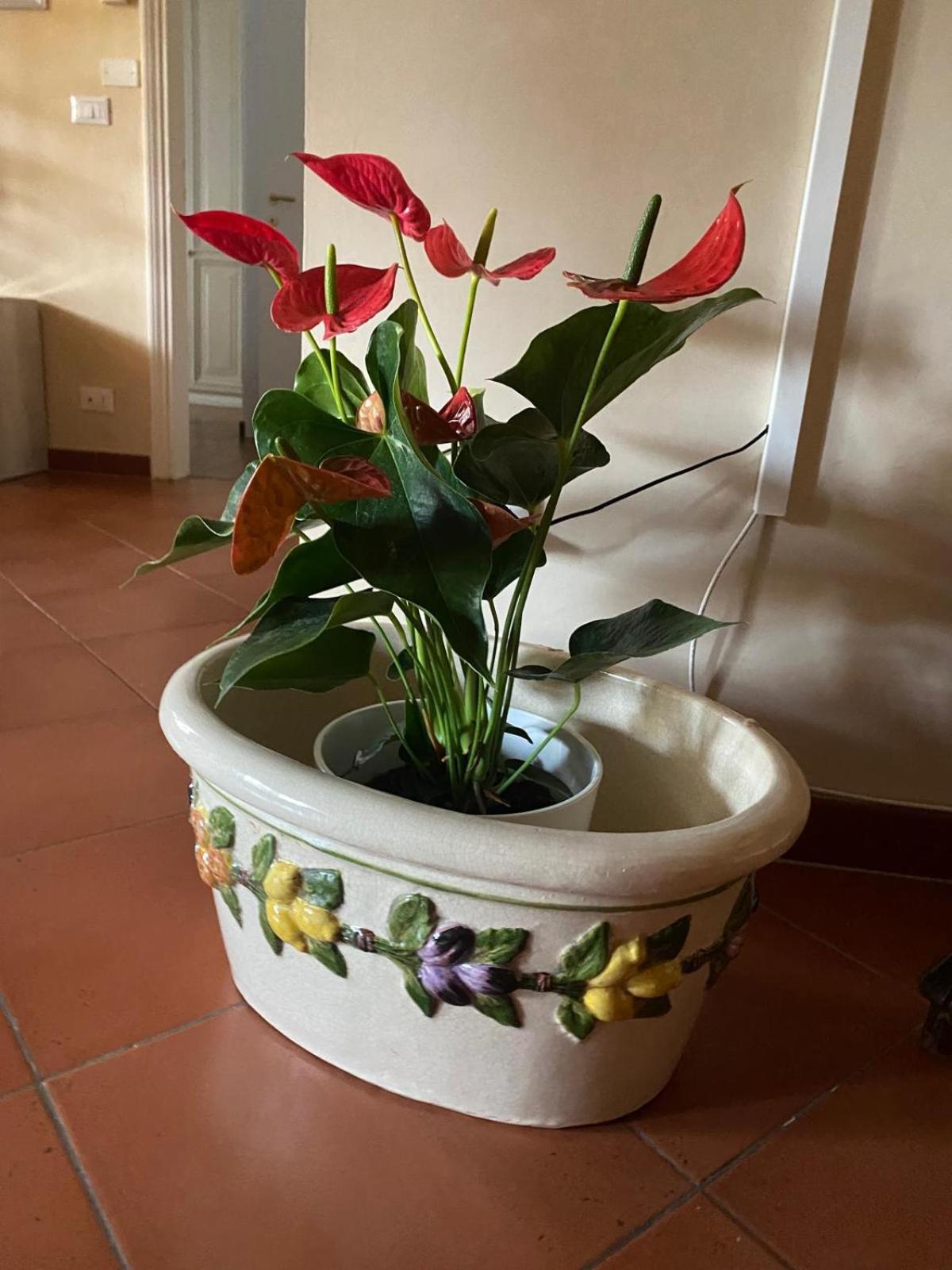 Appartamento Magnolia Mercatale Val Di Pesa Exterior foto